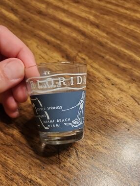 Florida Blue and White Glass Shot Glass